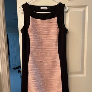 Calvin Klein Bodycon Dress